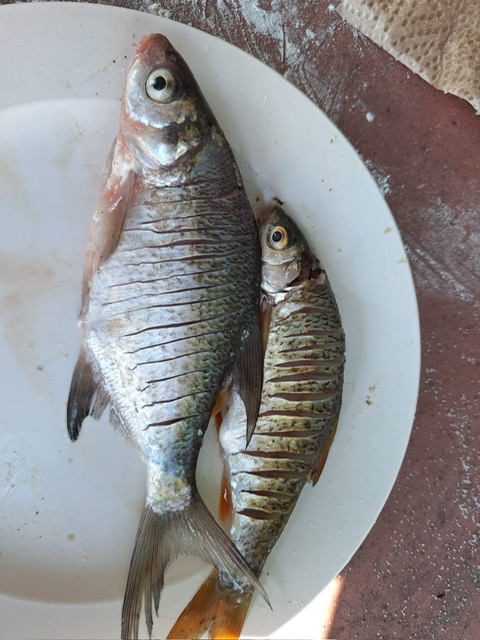 cf73607c-3e0f-4eb5-8eb3-707aa2cfe9ed